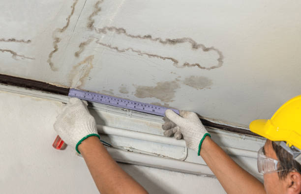 Reliable Water Damage Repair contractor in Galesburg, IL by Hirex Water Damage